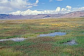 Ladakh - Tso-Kar lake. 